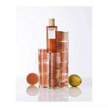 SOLO LOEWE spray